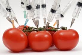 Genetic Food