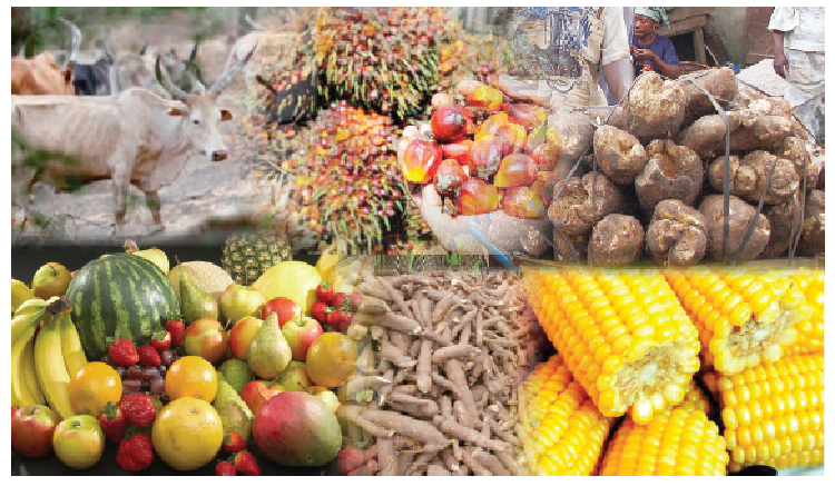 Food inflation rate in Nigeria surges to highest in over 15 years