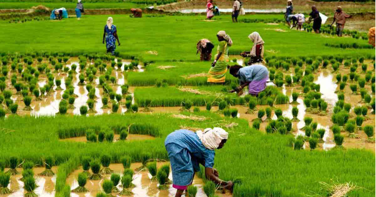 BOA says most farmers view bank loans as share of national cake
