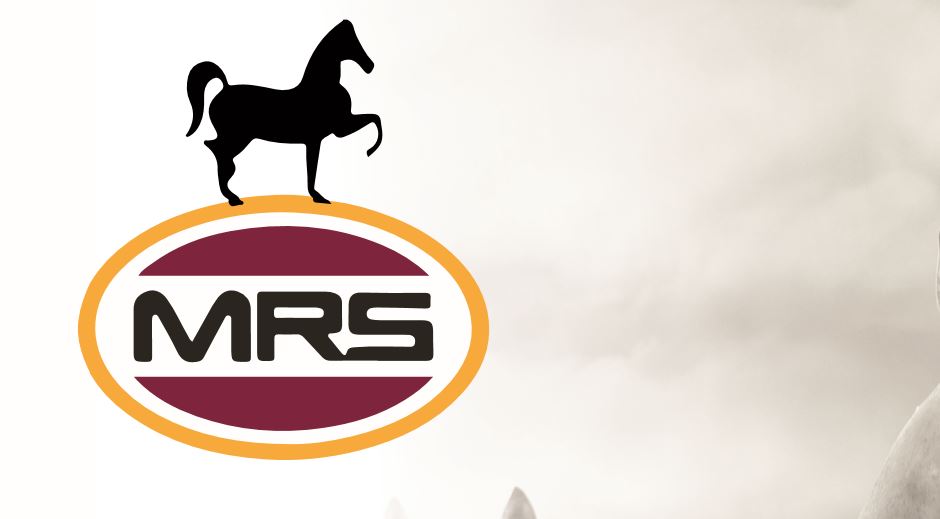 MRS Oil pre tax profit drops 26% (2017 H1)