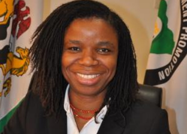 Investment Incentives NIPC and FIRS intend to offer