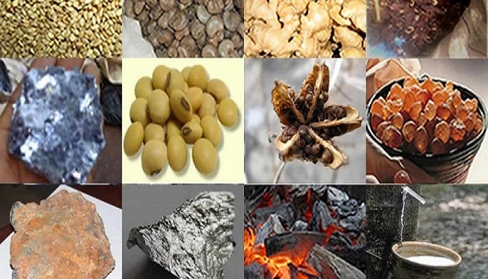 NEPC calls for submission of baseline data for 2017 export ratings