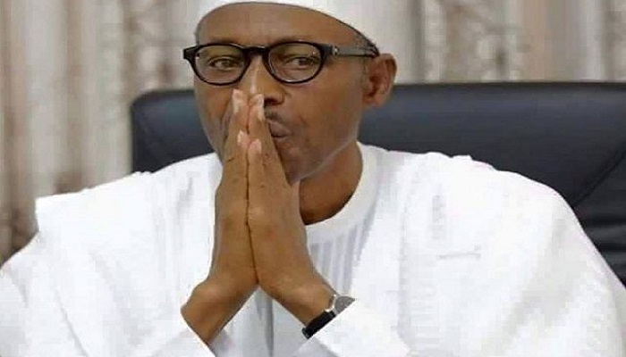Plan D-2023: A solution to the fuel crisis, President Buhari will like