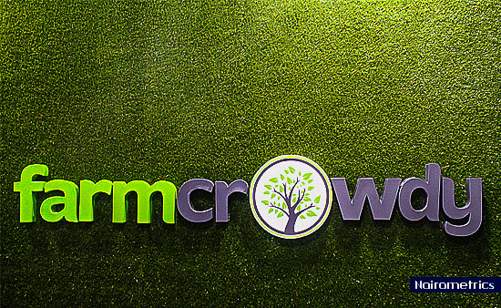 This is Farmcrowdy: The startup leading Agrictech in Nigeria