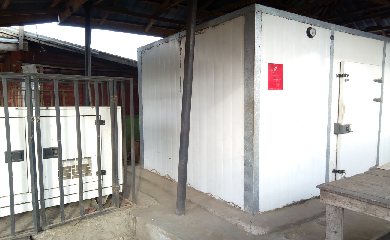 Cold room business in Nigeria