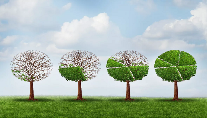 Economic Recovery and Growth Plan (ERGP): An assessment of the journey so far