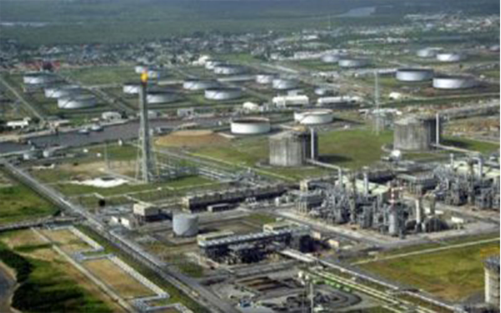 H1 2018 Results: 11 Plc records 12% increase in revenue