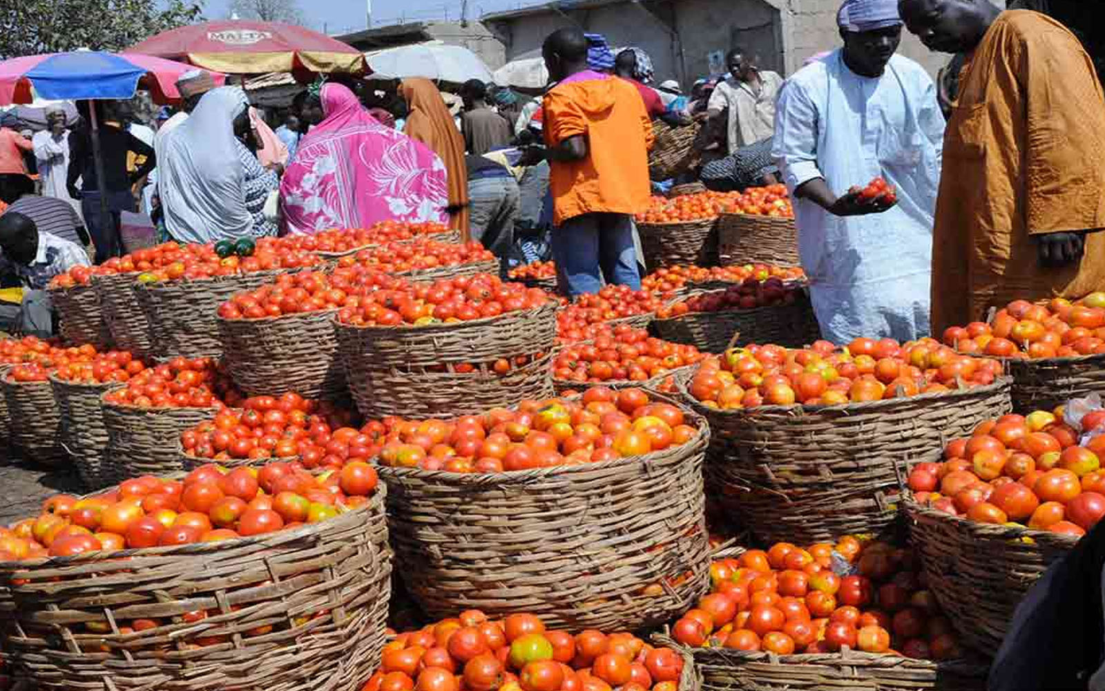 Inflation rate increases to 11.44% in December 2018