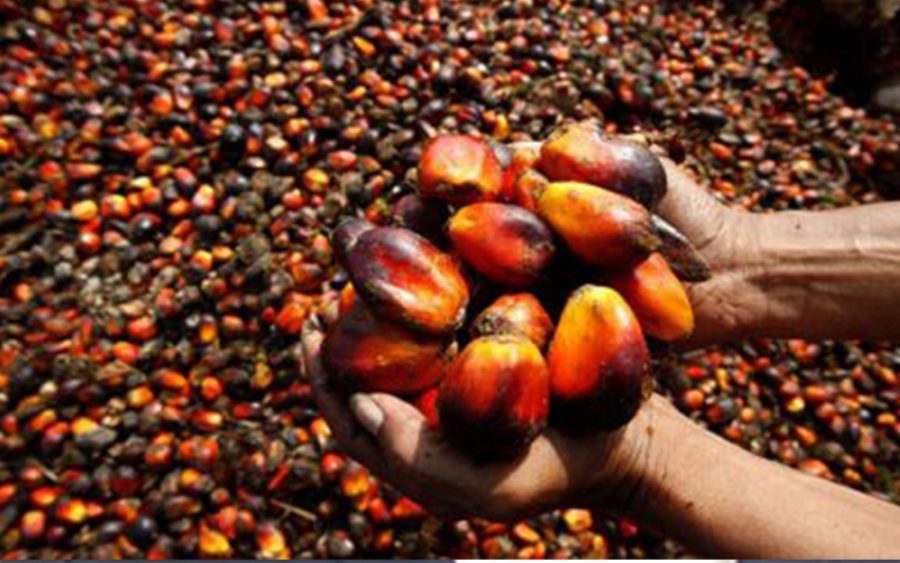 H1 2018 Results: Presco Plc records 9% decrease in revenue