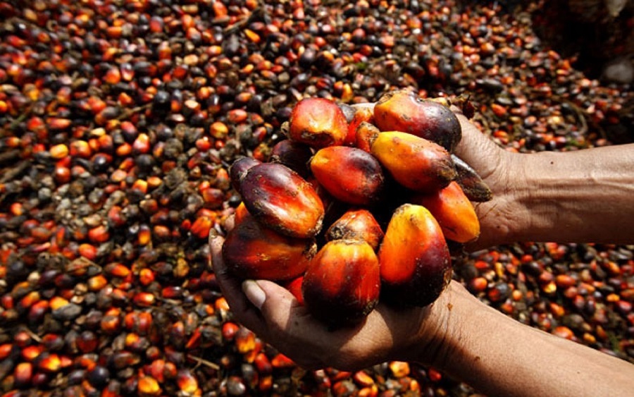 Ellah Lakes shareholders fund leaps from N497.8 million to N4.5 billion 
