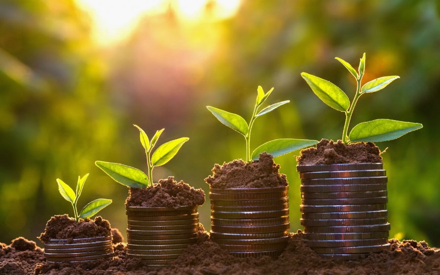 Why having a growth plan is important for your business