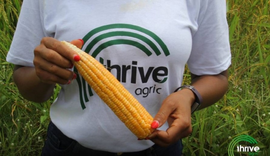 ThriveAgric