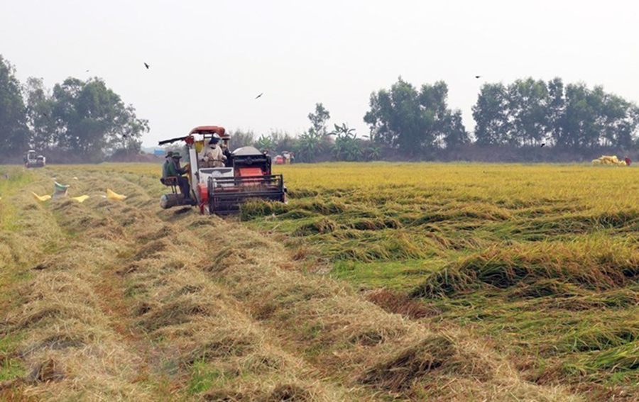 Rice farmers call on govt to reduce the cost of hiring tractors