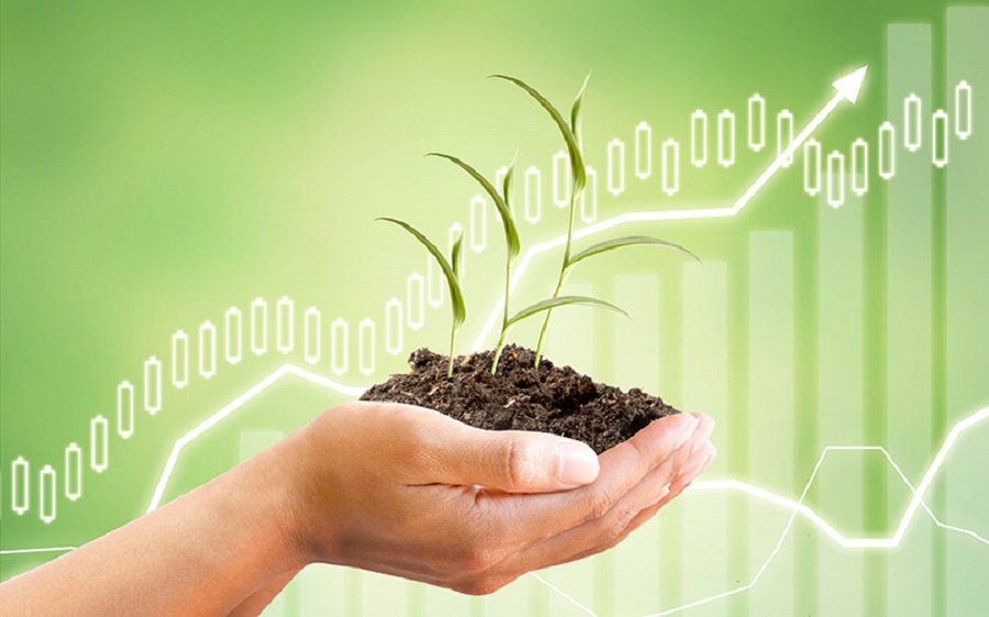Digital Farmer: Patrons of Vestpay, HO Corn lament over failed returns