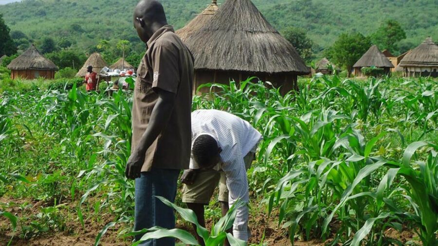 FG to use space technology to boost Agriculture- NASRDA