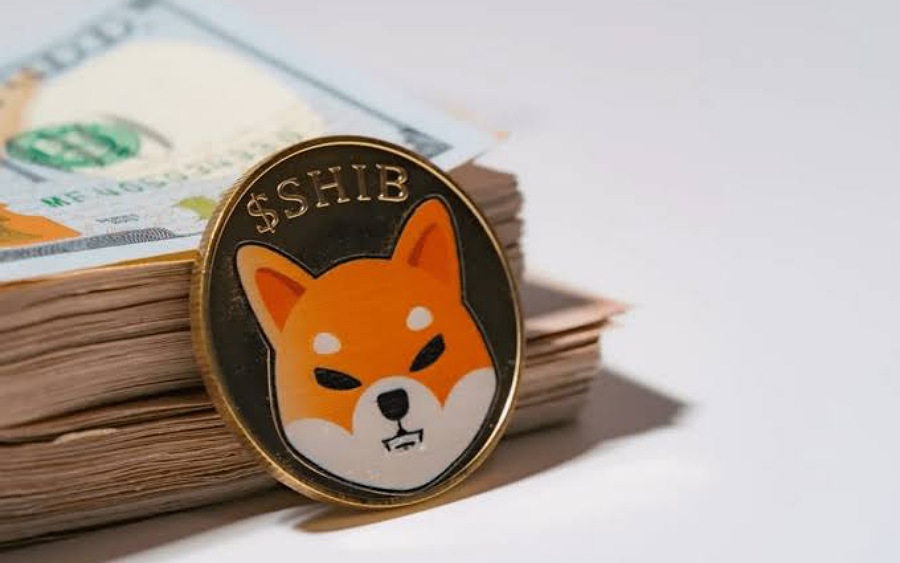 Shiba holder who bought $8,000 worth of SHIB last August now worth $5.7 billion