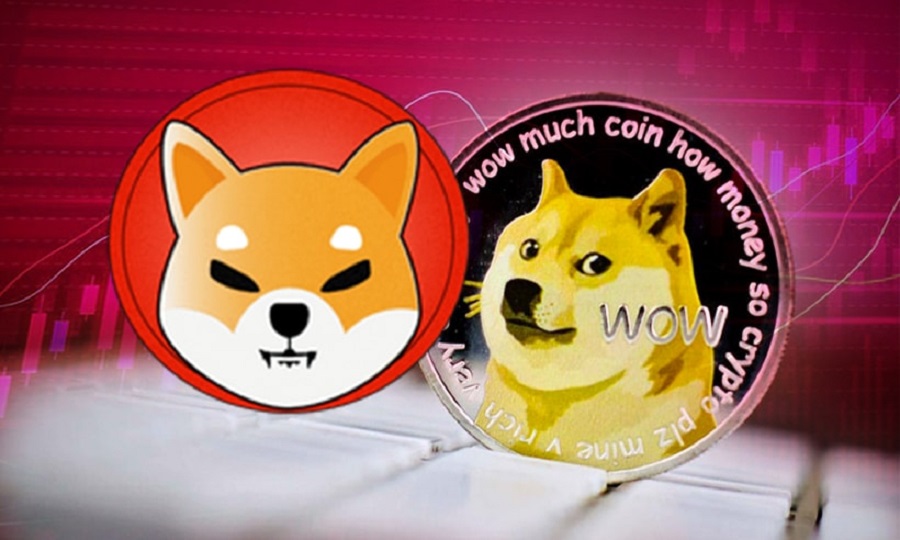 Dogecoin displaces Shiba Inu as investors go jittery