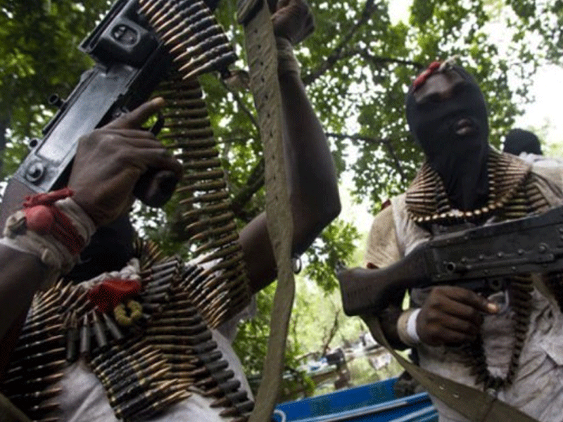 Suspected Islamist militants kidnap 42 pupils, children in Borno — Report
