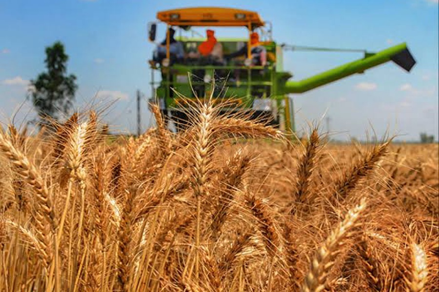 Northern Nigeria Flour Mills Plc declares dividend payment of N0.25 kobo to shareholders