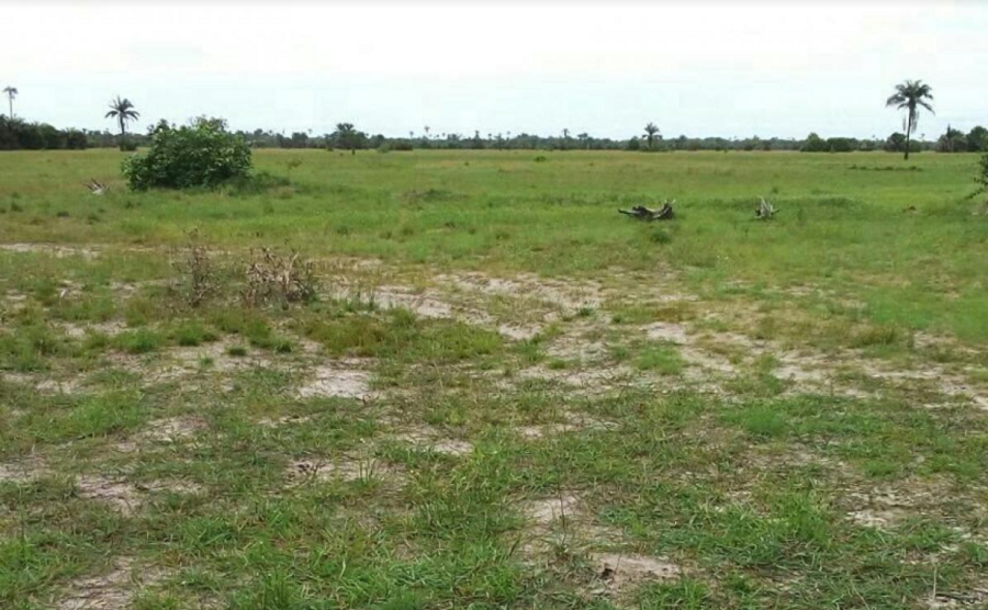 Why excision of land in Nigeria can be expensive