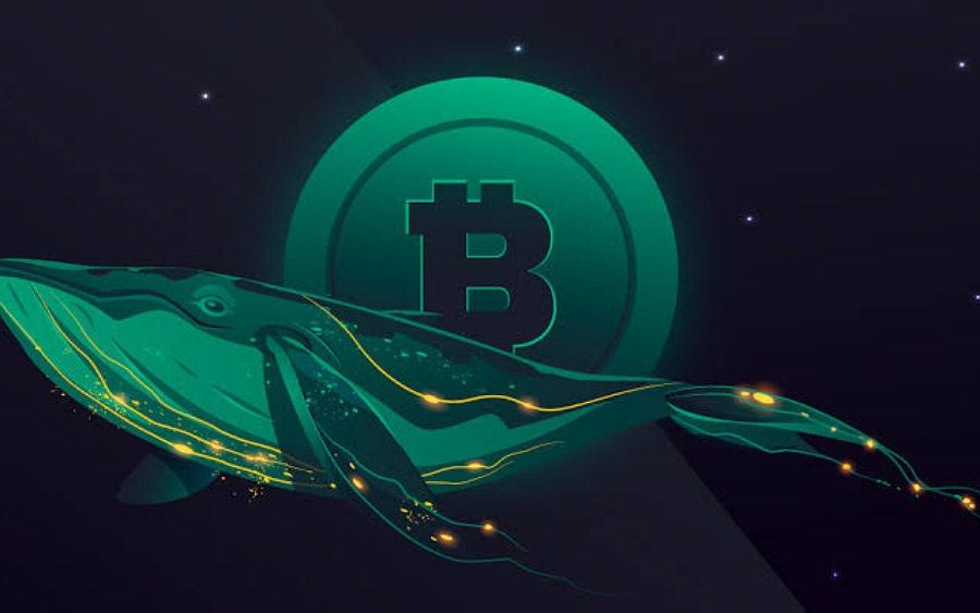 Criminal whales hold over $25 billion in cryptocurrency