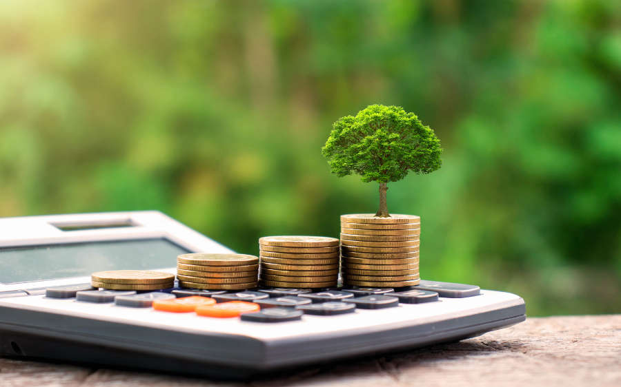 What you need to know about fixed income investing