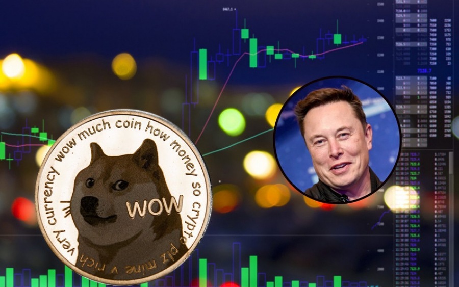 Dogecoin gains over 30% as Twitter accepts Elon Musk’s $44 billion buyout offer