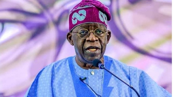 How Tinubu’s government can support businesses during its first year