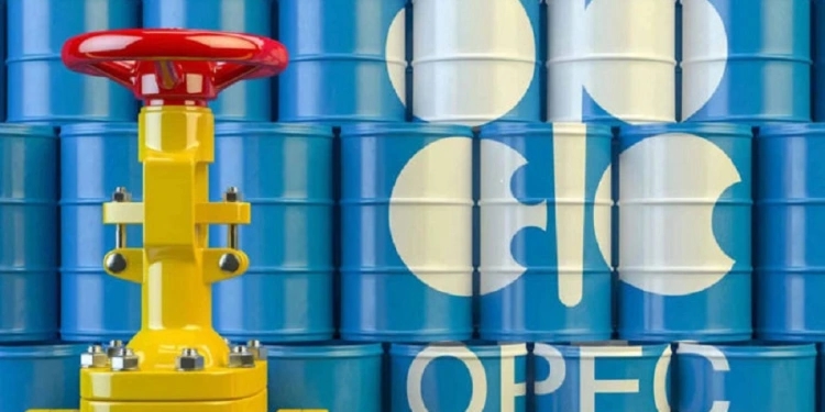 OPEC+ formally agrees to cut oil production by 2 million barrels per day