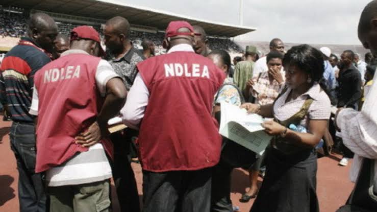 NDLEA intercepts N1bn worth Tramadol at Lagos airport