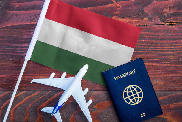 FAO, Hungarian government to sponsor Nigerians for Agriculture-related Masters degrees