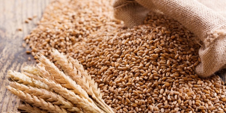 Nigeria’s wheat import drops as trade with Russia suffers major fall