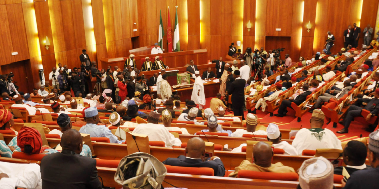 Daily wage: FG drafts national pay policy as Trade Union Congress pushes for minimum wage increase