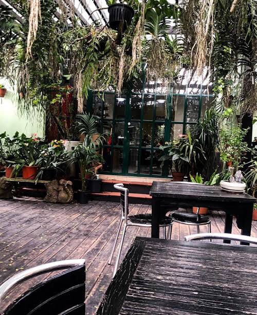 The Orchid Bistro