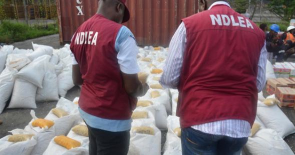 How to apply for NDLEA’s recruitment