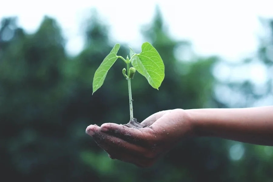 Earth Day: 5 entrepreneurs that are investing in Nigeria’s environmental sustainability