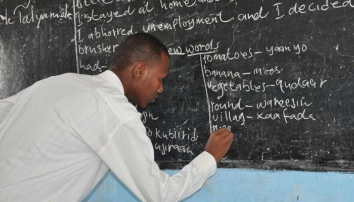 MSII SDG initiative is offering teachers $2000 grants for innovative projects