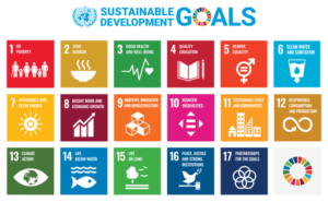 National Youth Assembly urges Tinubu to incorporate SDGs into policies