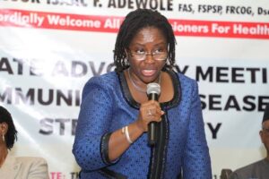 Nigeria to start producing electric vehicles, commences validation process