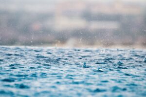 These businesses will make you money during the rainy season
