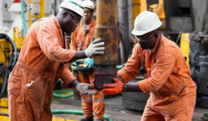 Nigeria’s oil boom mirage: When the goat misses the palm leaves