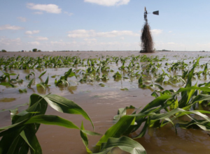 Flood to disrupt Nigeria’s cocoa export as price rises above $10,100 – Report
