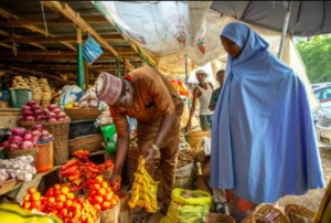 Nigeria’s Food inflation rises to 29.34%  in August 2023 