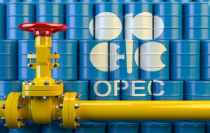Member countries are investing in these 4 technologies to reduce emissions – OPEC