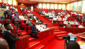 Why the Senate is asking for a “Ministry of Revenue” 