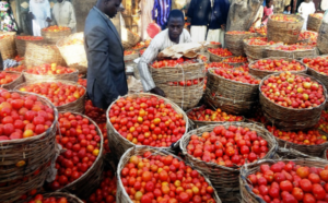 High price looms as union threatens to cut tomato supply to Lagos over market clash
