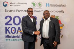AfDB is ready to disburse $250 million for Nigeria’s electrification project – Minister for Power 