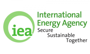 Supply cuts will not affect oil surplus in 2024 – IEA