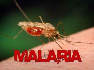 CCM Nigeria, National Assembly push for local funding to close over $100million gap in HIV, TB, malaria interventions 
