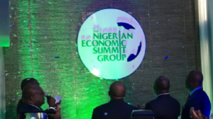 NESG urges FG to mobilise finance in high growth sectors 